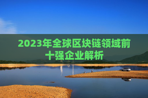 2023年全球区块链领域前十强企业解析