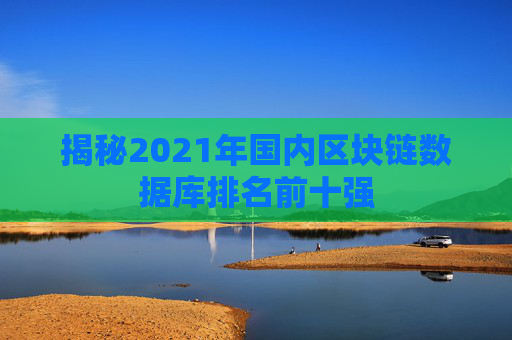 揭秘2021年国内区块链数据库排名前十强