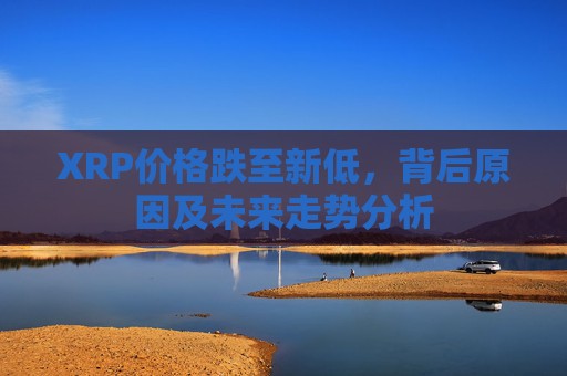 XRP价格跌至新低，背后原因及未来走势分析