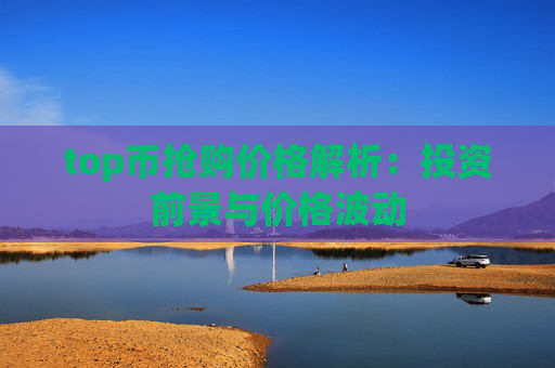 top币抢购价格解析：投资前景与价格波动