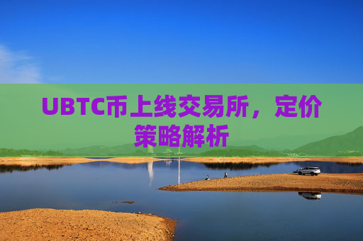 UBTC币上线交易所，定价策略解析