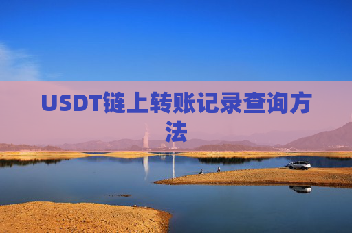 USDT链上转账记录查询方法