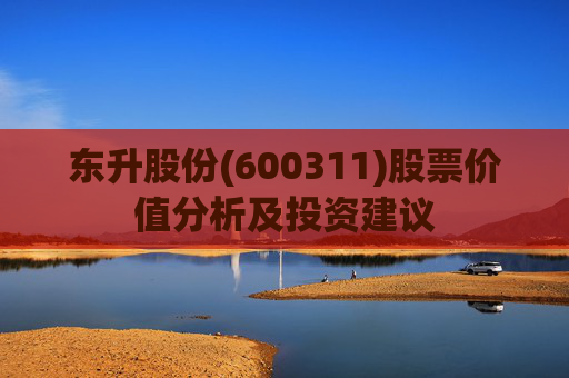 东升股份(600311)股票价值分析及投资建议