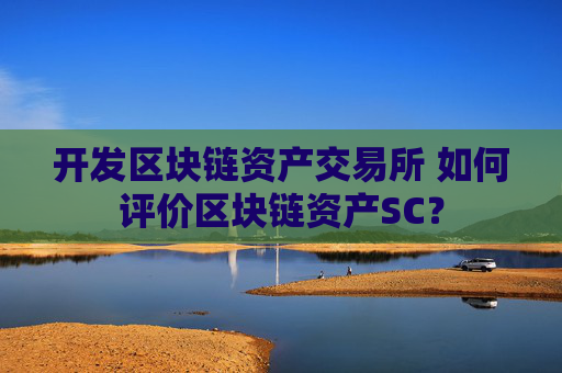 开发区块链资产交易所 如何评价区块链资产SC？