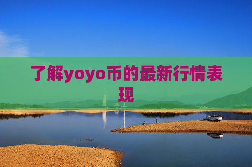 了解yoyo币的最新行情表现