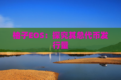 柚子EOS：探究其总代币发行量