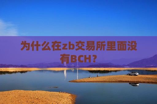 为什么在zb交易所里面没有BCH？