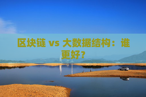 区块链 vs 大数据结构：谁更好？