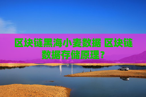 区块链黑海小麦数据 区块链数据存储原理？