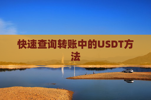 快速查询转账中的USDT方法