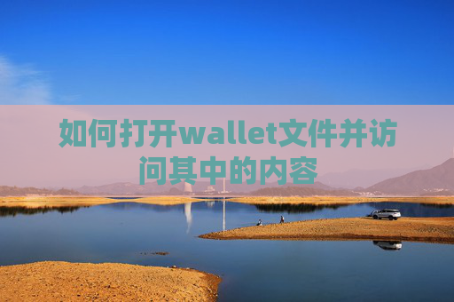 如何打开wallet文件并访问其中的内容