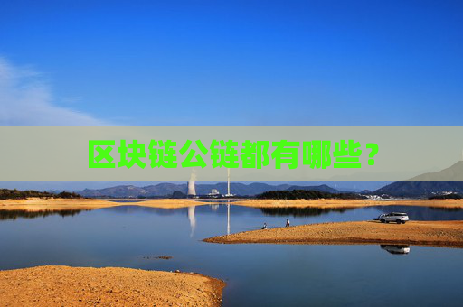 区块链公链都有哪些？