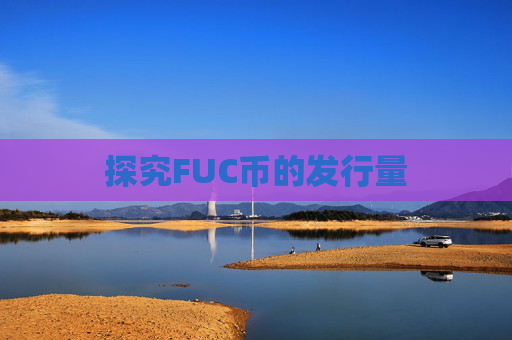 探究FUC币的发行量