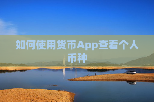 如何使用货币App查看个人币种