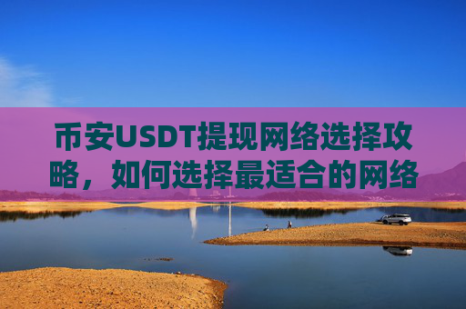 币安USDT提现网络选择攻略，如何选择最适合的网络？