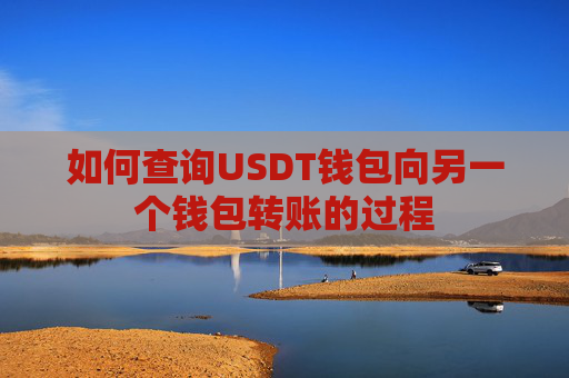 如何查询USDT钱包向另一个钱包转账的过程