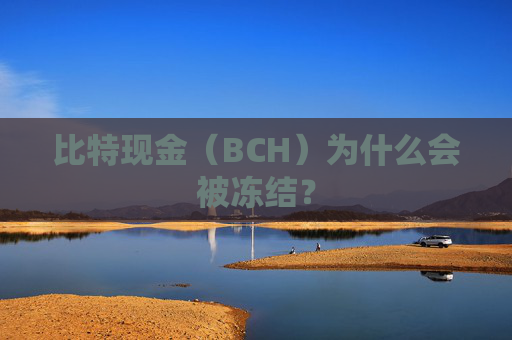 比特现金（BCH）为什么会被冻结？