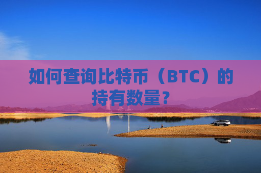 如何查询比特币（BTC）的持有数量？