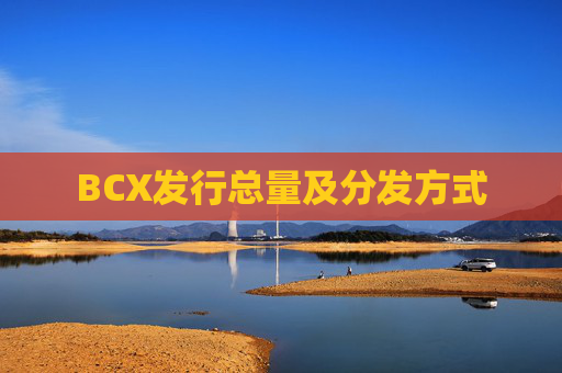 BCX发行总量及分发方式