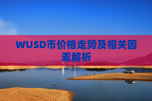 WUSD币价格走势及相关因素解析