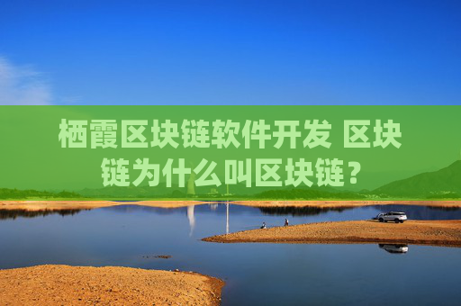 栖霞区块链软件开发 区块链为什么叫区块链？