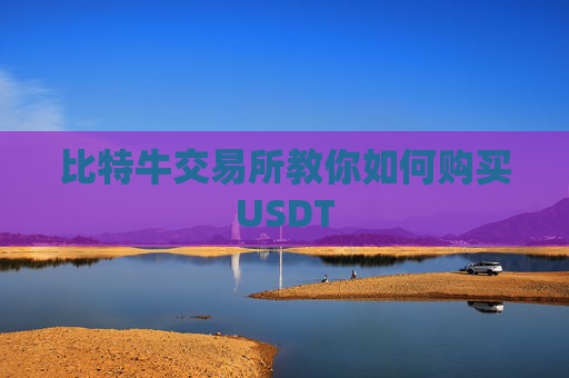 比特牛交易所教你如何购买USDT