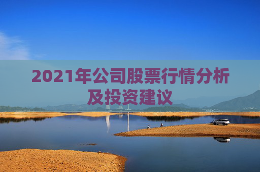 2021年公司股票行情分析及投资建议