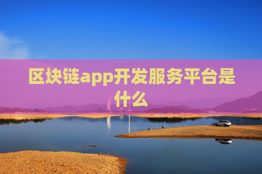 区块链app开发服务平台是什么