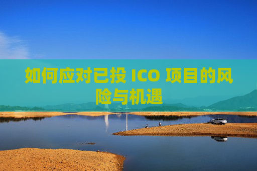 如何应对已投 ICO 项目的风险与机遇