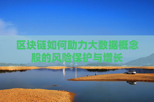 区块链如何助力大数据概念股的风险保护与增长