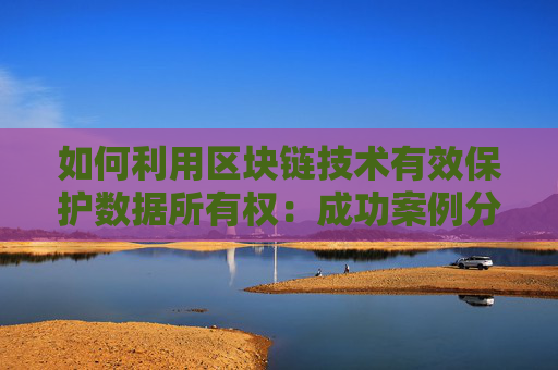 如何利用区块链技术有效保护数据所有权：成功案例分析