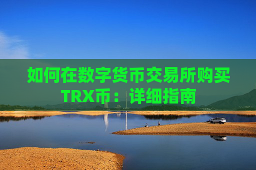 如何在数字货币交易所购买TRX币：详细指南