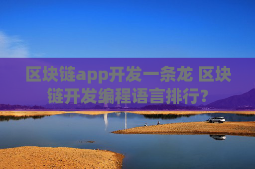 区块链app开发一条龙 区块链开发编程语言排行？