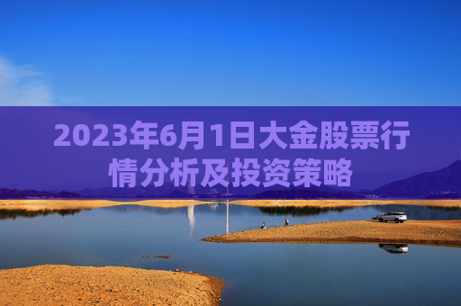 2023年6月1日大金股票行情分析及投资策略