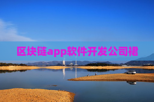 区块链app软件开发公司裙