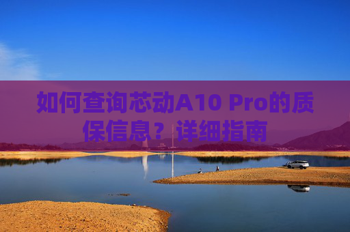 如何查询芯动A10 Pro的质保信息？详细指南