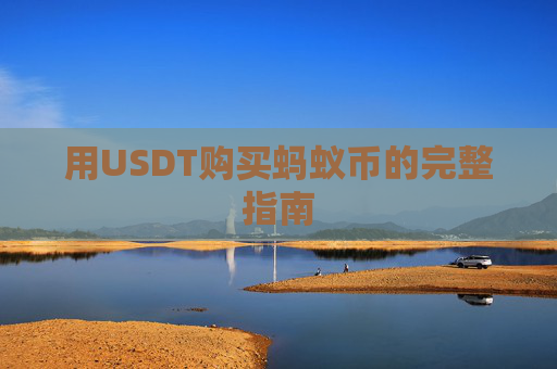 用USDT购买蚂蚁币的完整指南