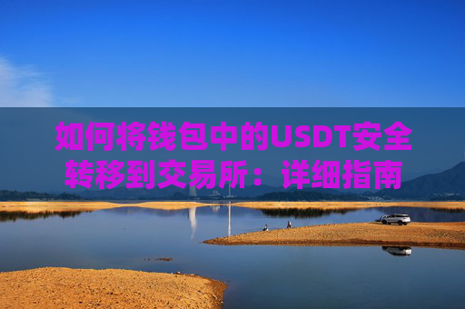 如何将钱包中的USDT安全转移到交易所：详细指南