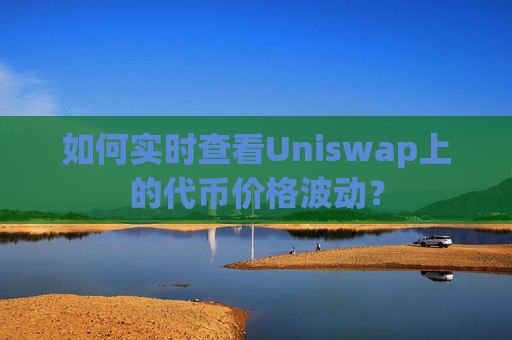 如何实时查看Uniswap上的代币价格波动？