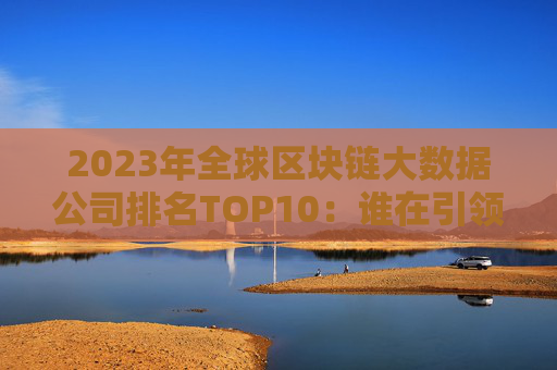 2023年全球区块链大数据公司排名TOP10：谁在引领行业变革？