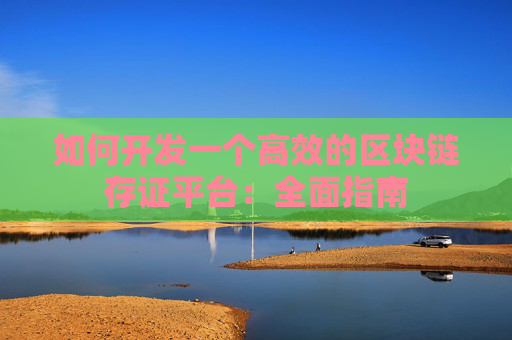 如何开发一个高效的区块链存证平台：全面指南