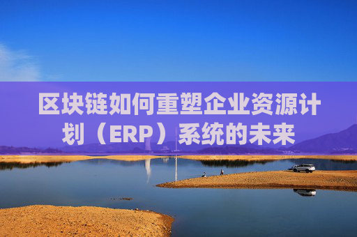 区块链如何重塑企业资源计划（ERP）系统的未来