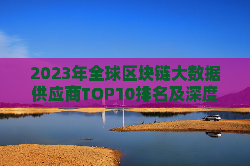 2023年全球区块链大数据供应商TOP10排名及深度解析