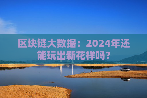 区块链大数据：2024年还能玩出新花样吗？