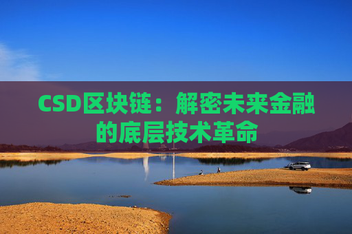 CSD区块链：解密未来金融的底层技术革命