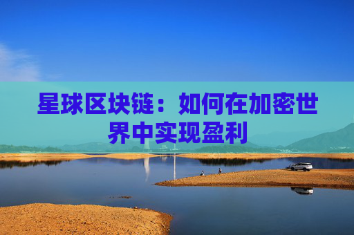 星球区块链：如何在加密世界中实现盈利