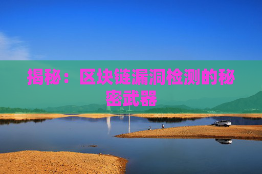 揭秘：区块链漏洞检测的秘密武器