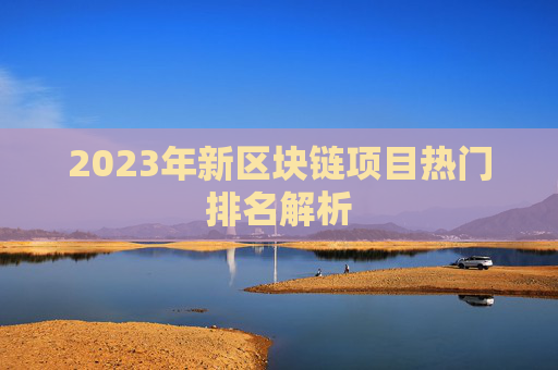 2023年新区块链项目热门排名解析