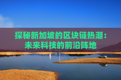 探秘新加坡的区块链热潮：未来科技的前沿阵地