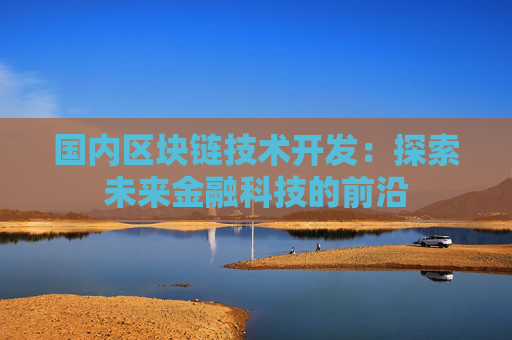 国内区块链技术开发：探索未来金融科技的前沿